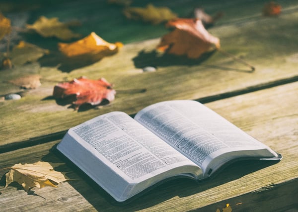 fall-bible