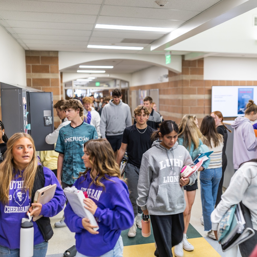 4 New Classes Coming Next Fall, 3 New Summer Courses for 2024