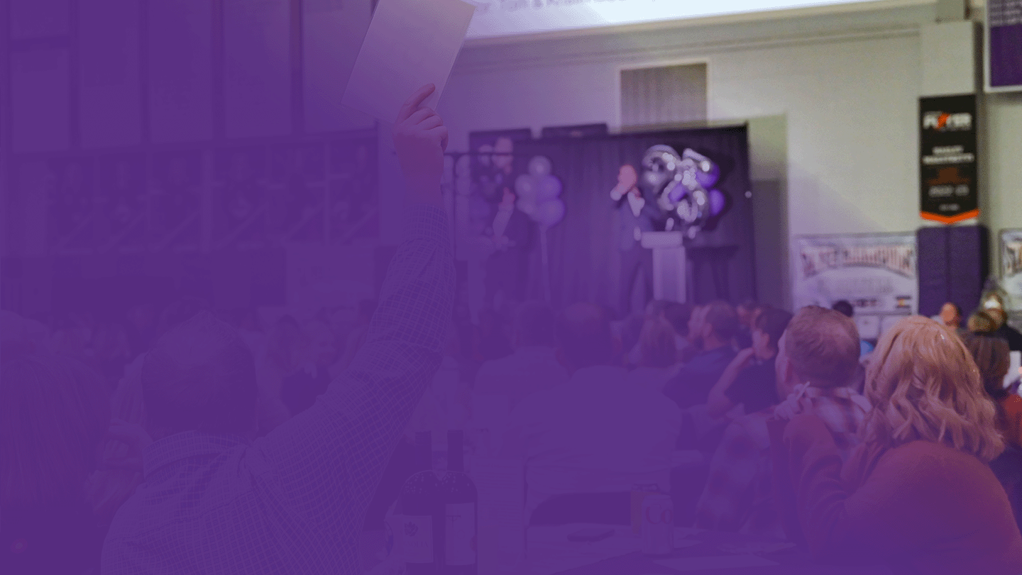 1auction-gradient-header